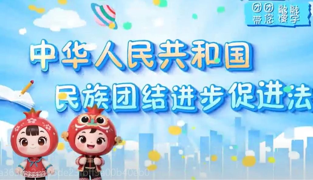 《中华人民共和国民族团结进步促进法》学习视频