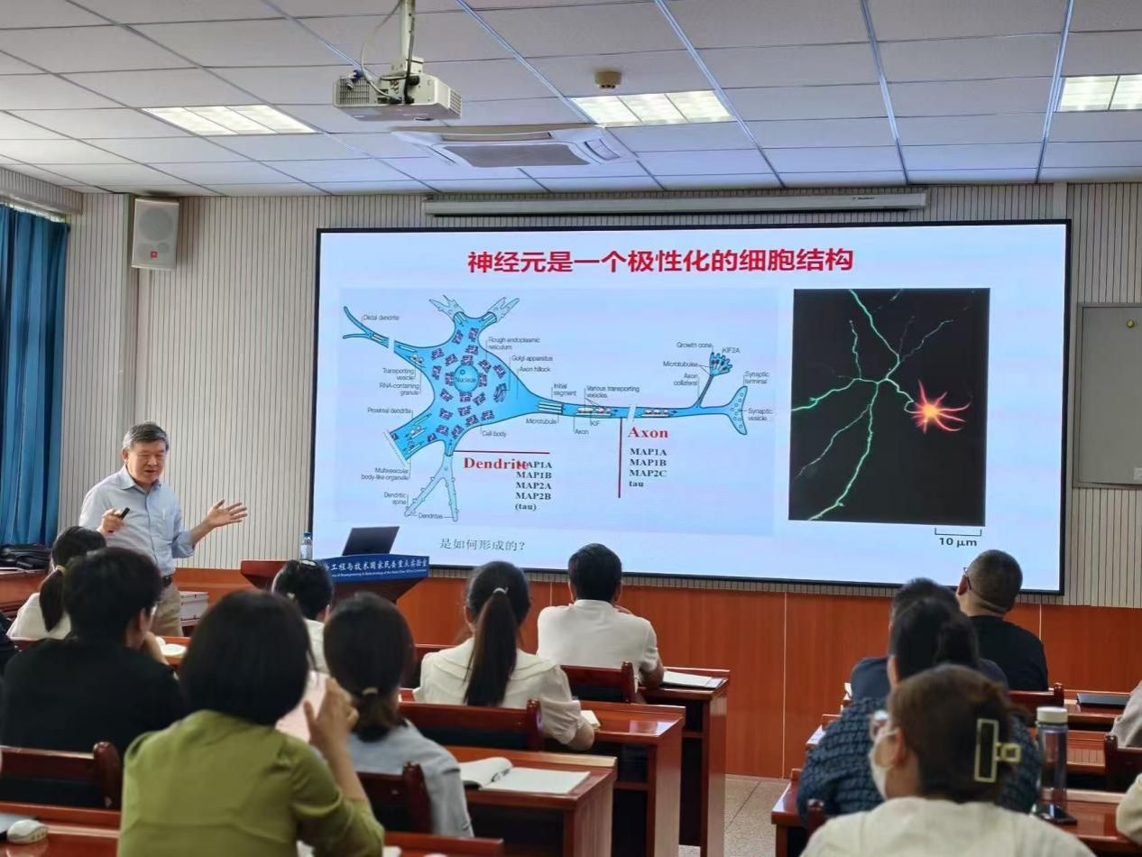 北京大学教授陈建国来校开展学术交流