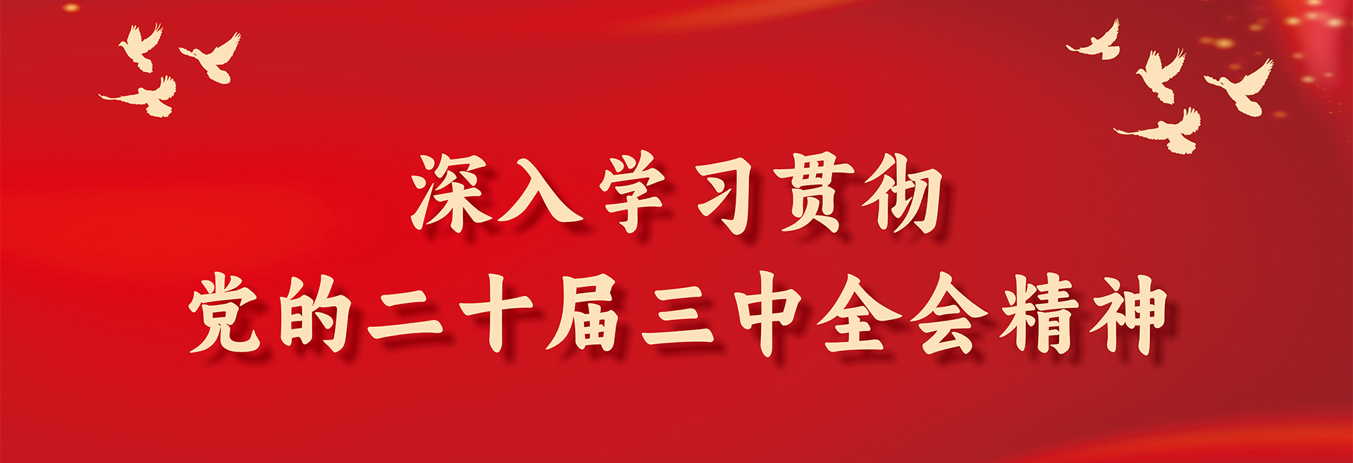学习贯彻党的二十届三中全会精神